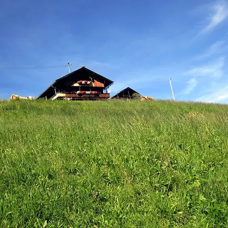 Rabl Hutte Holiday home Niederau